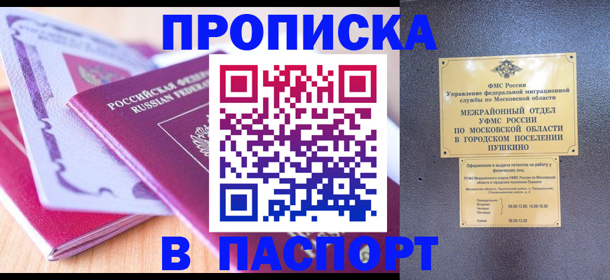 прописка законно в Североморске